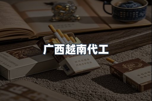广西越南代工